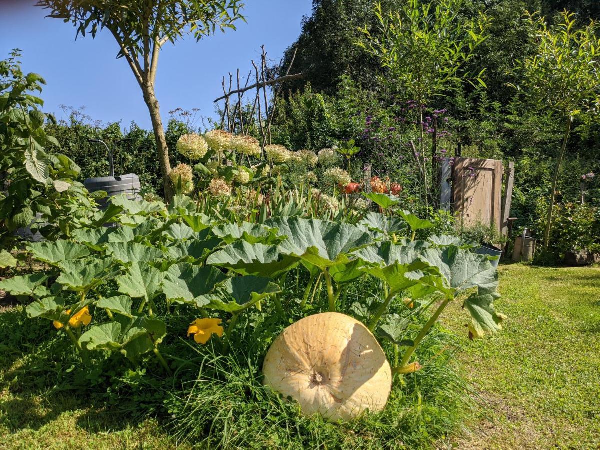 مبيت وإفطار La Grange De Dourlers المظهر الخارجي الصورة